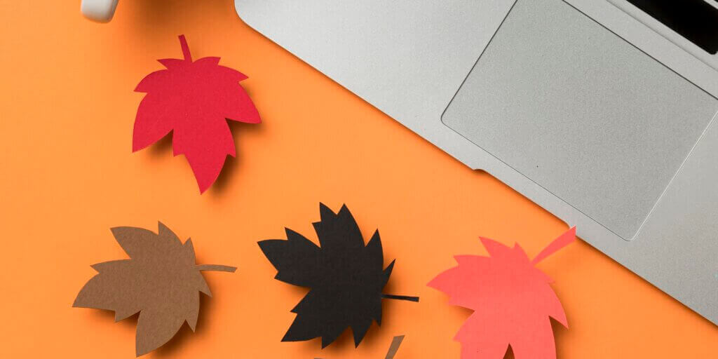 flat-lay-autumn-leaves-assortment